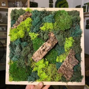 Muschio stabilizzato quadro muschio