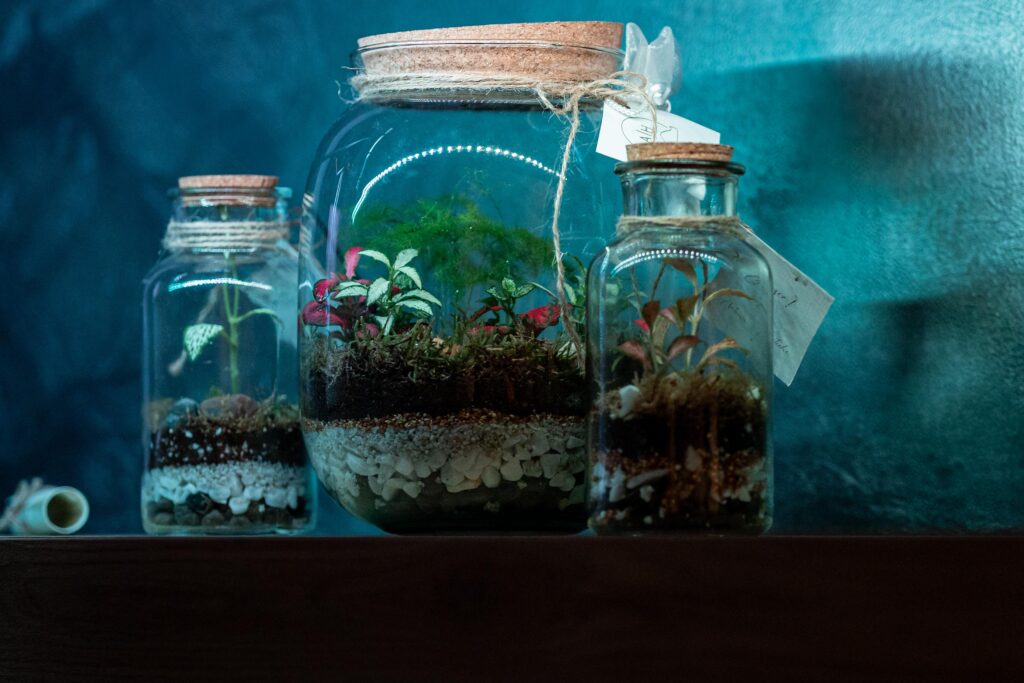 whatsapp image 2025 07 17 at 01.27.27