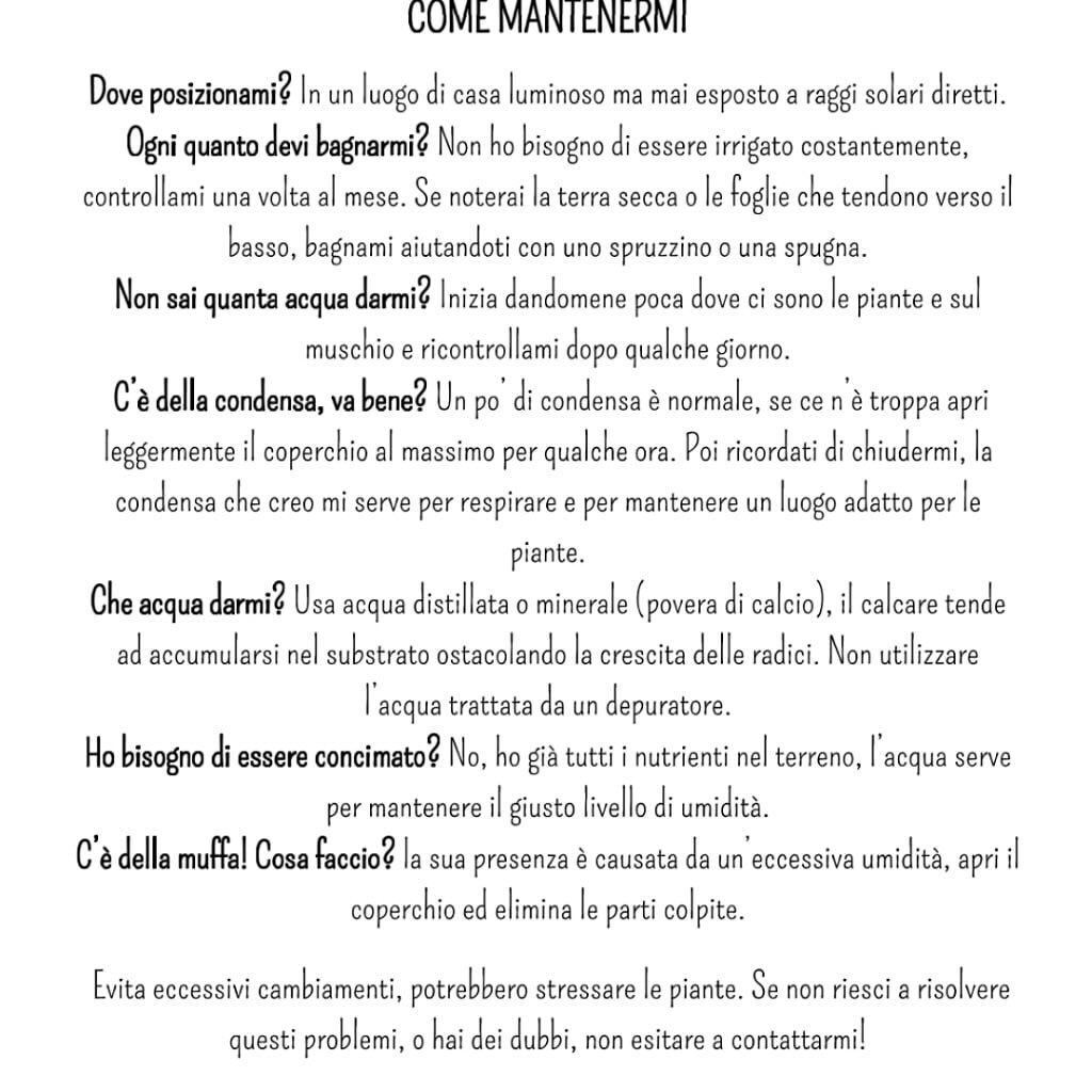 desideri un terrario ma non sai come mantenerlo 🌿 qui troverai quello che ti serve sapere per c