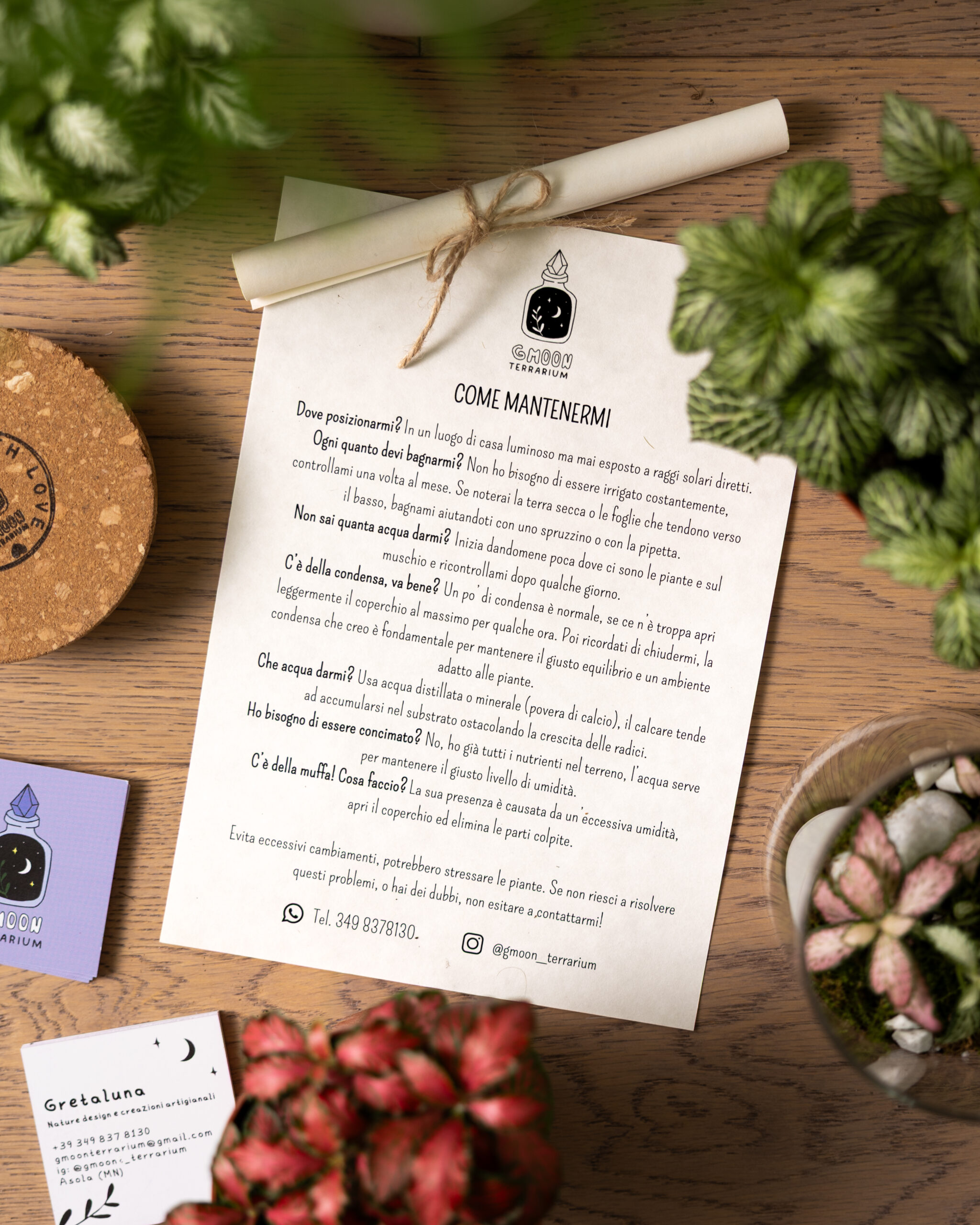 foglio pergamena con spiegazione cura e manutenzione terrario