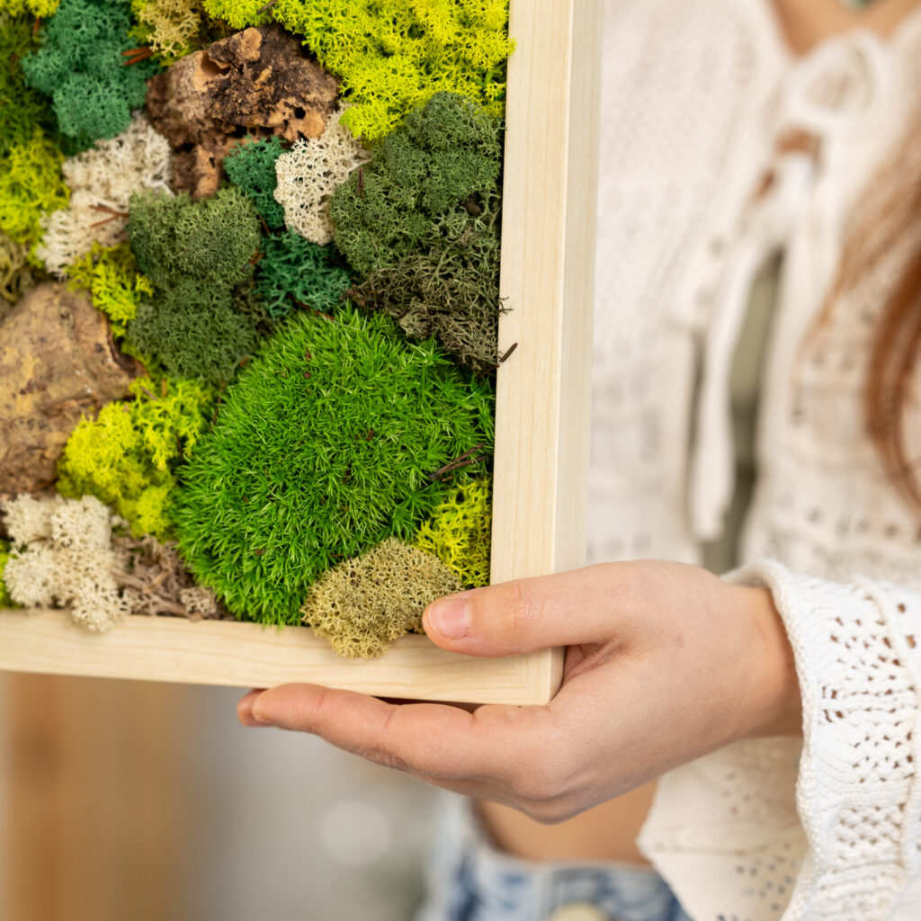 quadro cornice muschio lichene stabilizzato verde