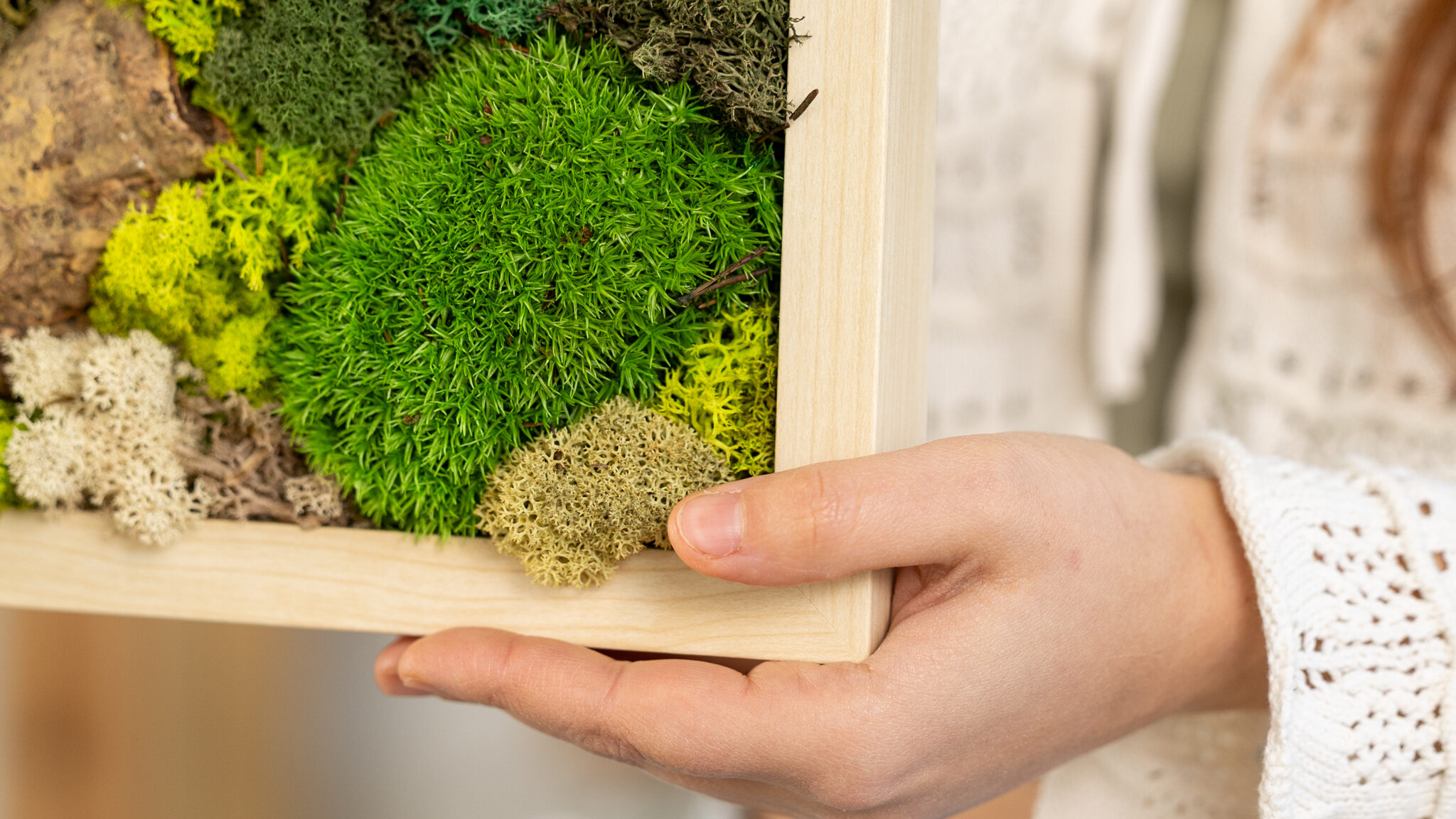 quadro cornice muschio lichene stabilizzato verde