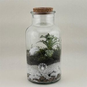 terrario essential (copia)