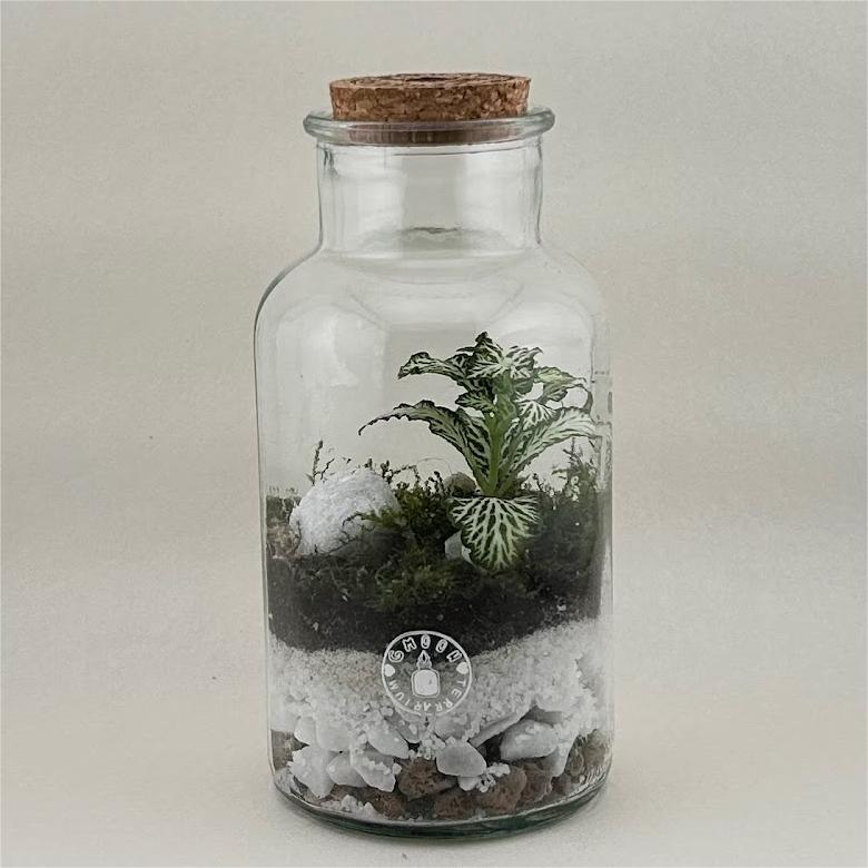 terrario essential (copia)